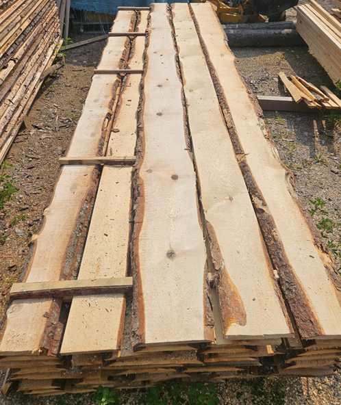 Neapzāģis, svaigi zāģēts kokmateriāls